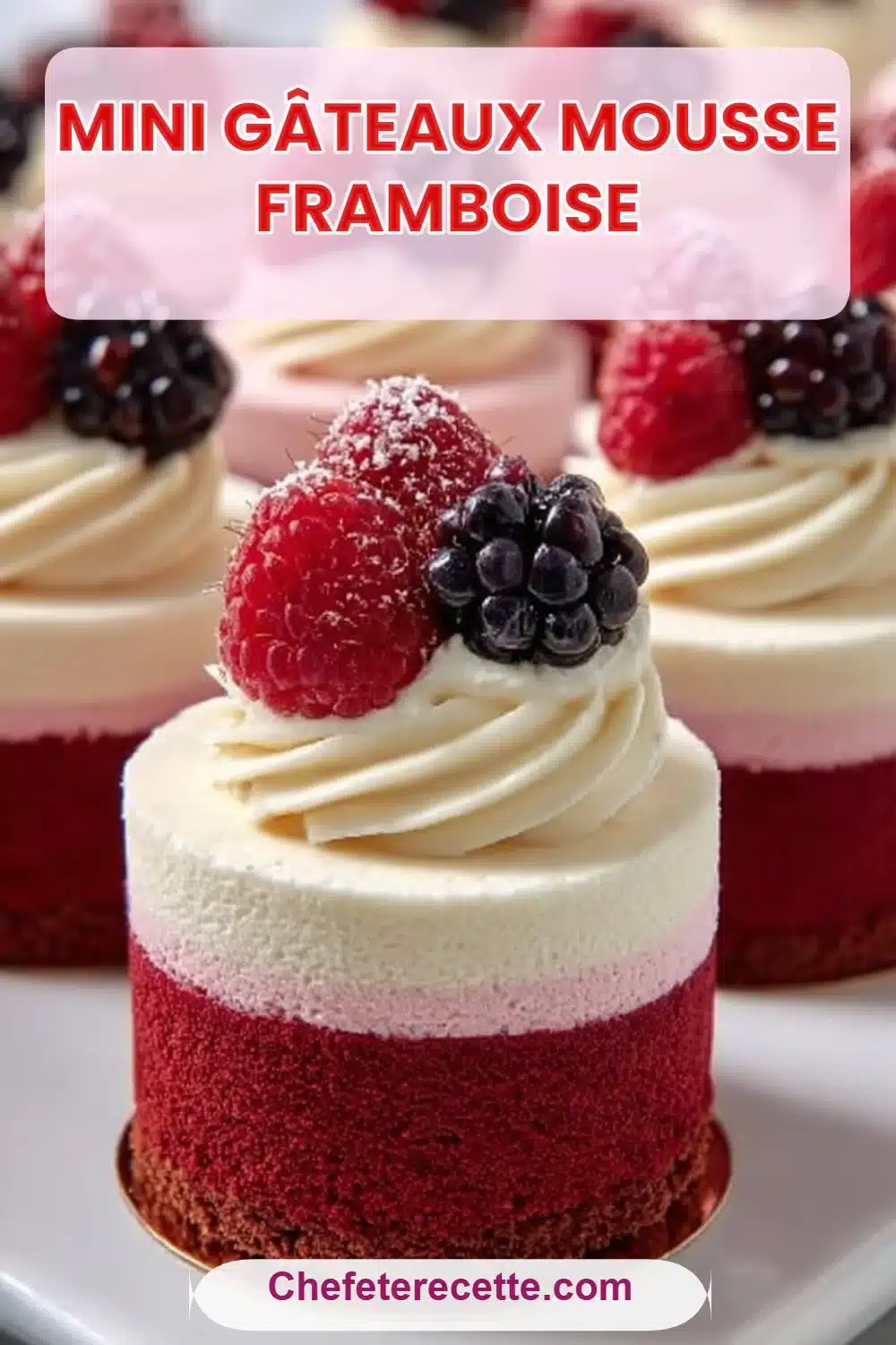 Mini Gâteaux Mousse Framboise