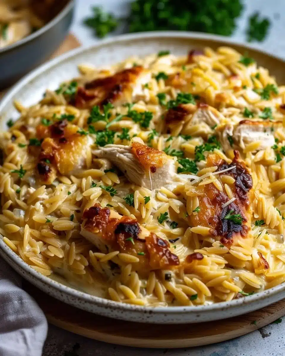 Plat d'orzo poulet ultra crémeux servi dans une assiette élégante.
