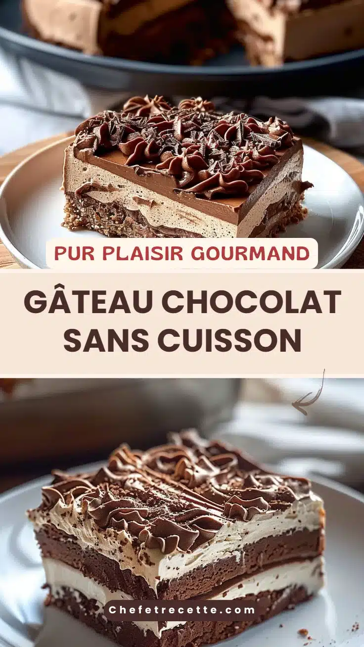 Gâteau chocolat sans cuisson